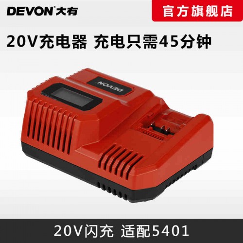 大有20V 5339 充電器